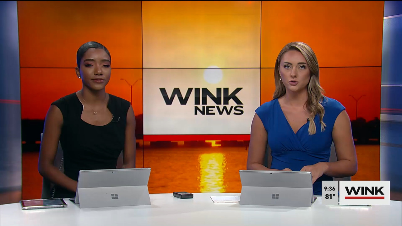 04.29 - 14.00.00 - WINK News at 9 00AM  ᴺᵉʷ. Morning news.ts_snapshot_00.37.36.473
