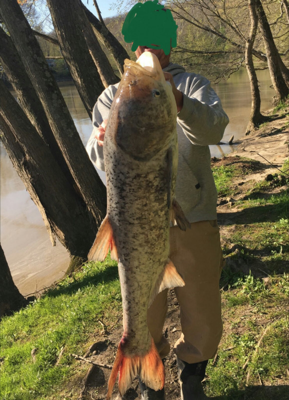 2019-04-26 22.26.38
