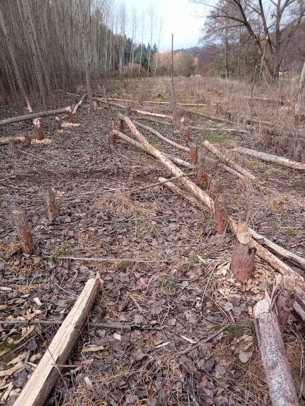 IMG 20260226 132234 742