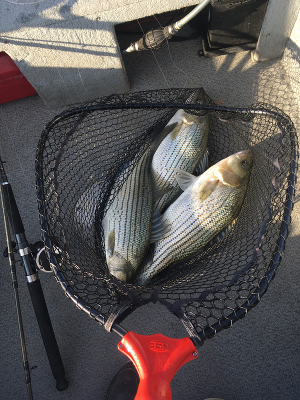 2CC0DCDE-30AB-45DF-A8C2-E6B4C654E569