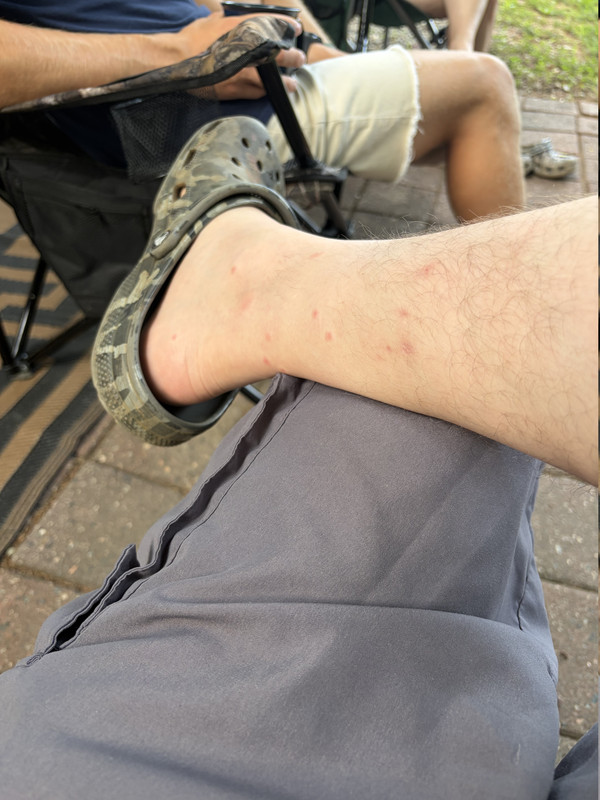 IMG 1385