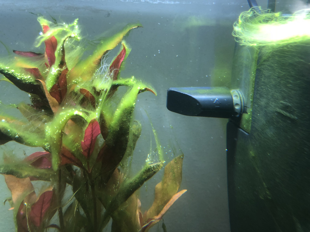 FC5E7AF8-C752-4202-A087-1F3E096B081F