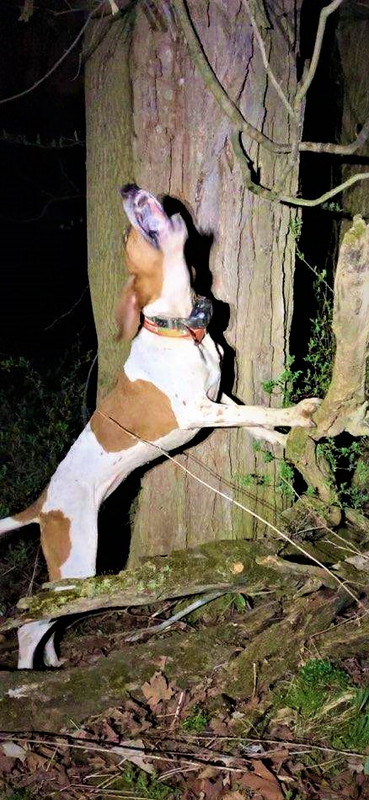 Resized_IMG_4303 (1)