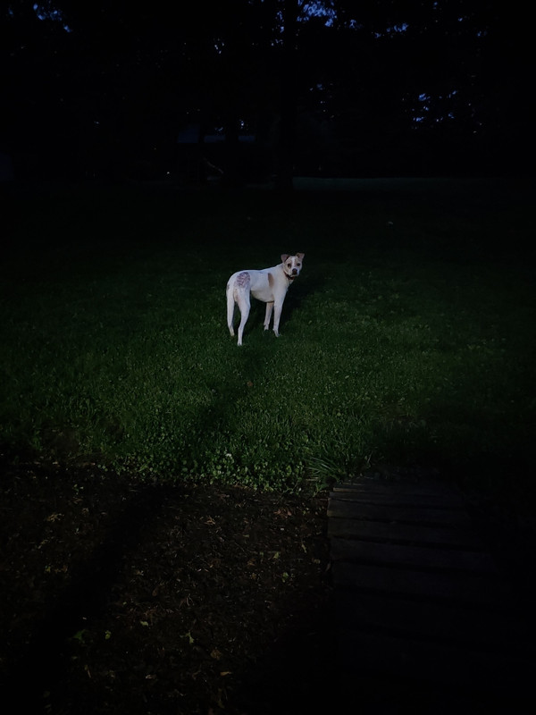 20220526_205139 (1)