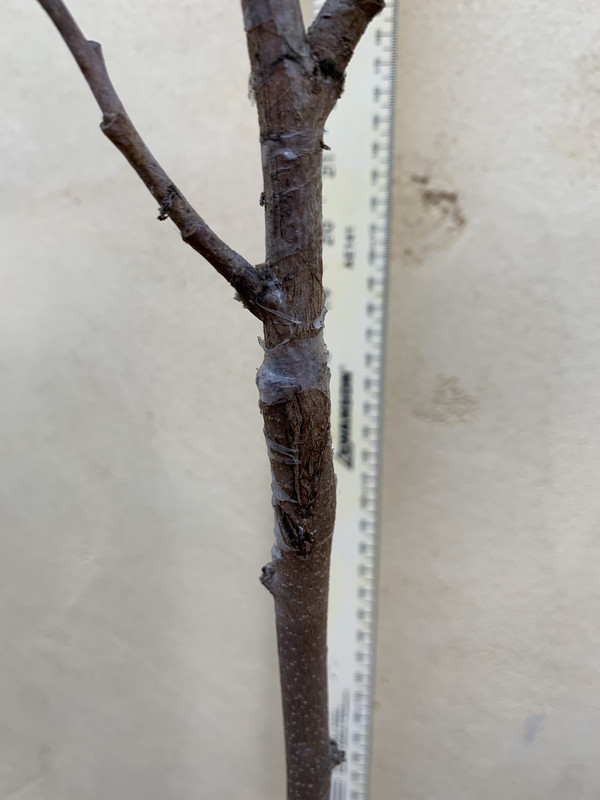 66515C5D-90C1-4BDB-BBA2-10B830207EC8