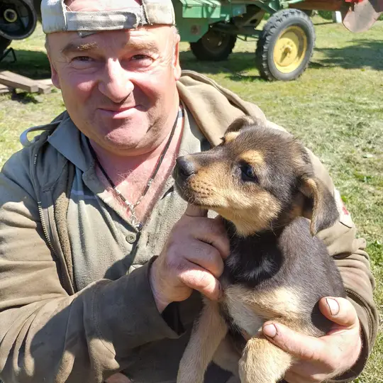 Adopted dog with new owner