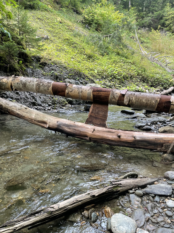 7C154C2E-0BF7-4668-BF49-2B723B4E2762