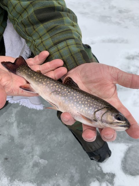 7EA408A4-3F1B-4BD1-AEF5-A131A7E22896