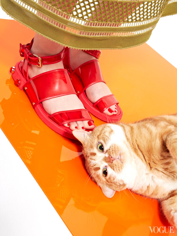 cats-kittens-flats-shoes-25-161908134491