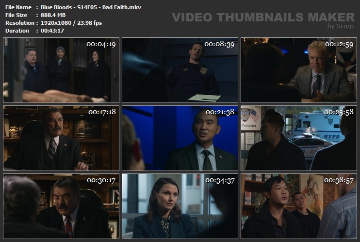 Blue Bloods - S14E05 - Bad Faith.mkv