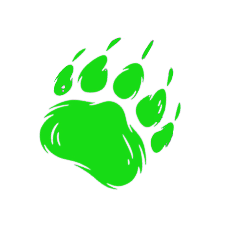 Bear Brute AI Logo