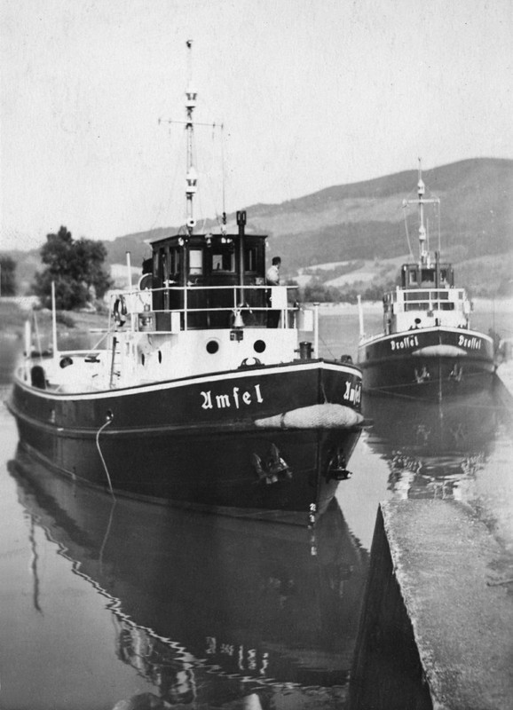 pk 076 (11) AMSEL DROSSEL