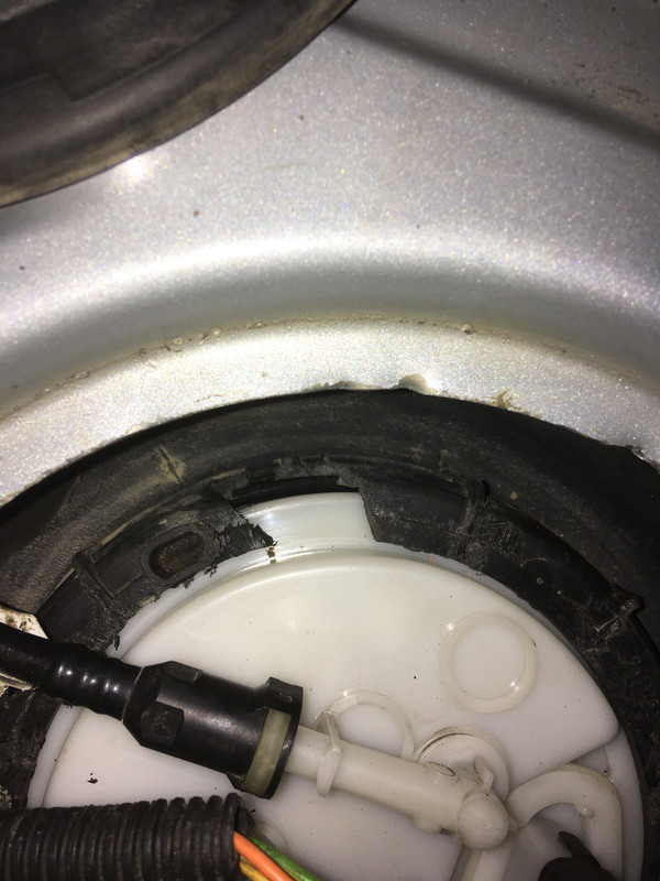 A03DF429-18D3-485B-88E7-E7B9539FAEBE