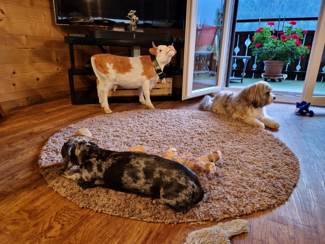 [Image: 20230915-192345.jpg]