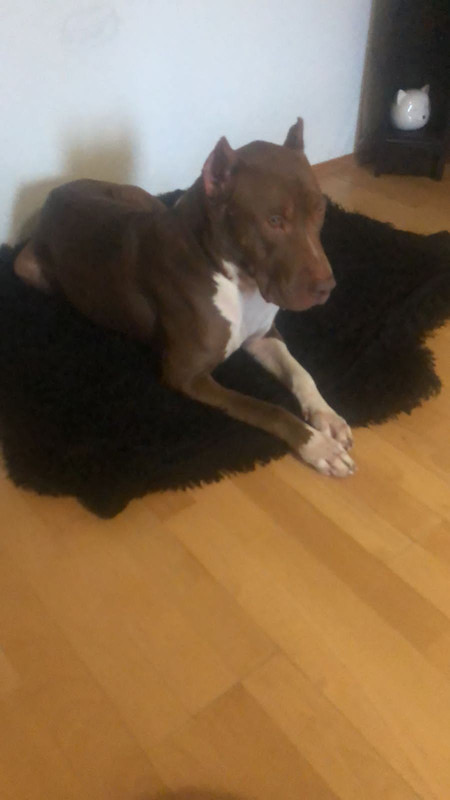 D4707A3E-1B7A-4DD9-BFE5-1234AC4F8943