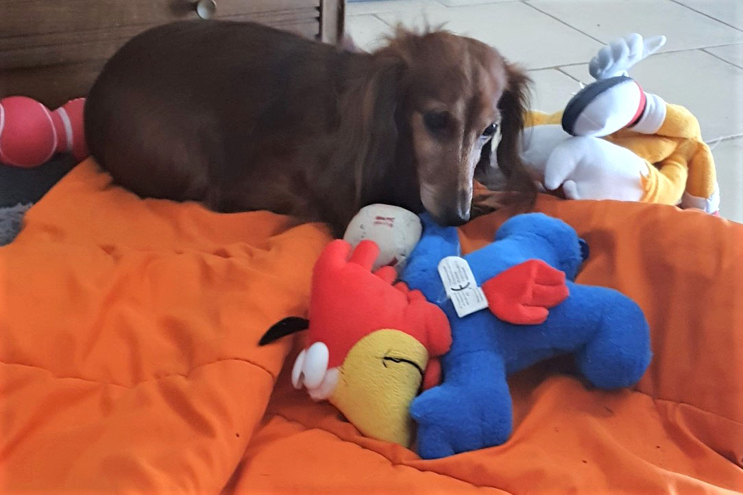 [Image: 20220716-175819.jpg]