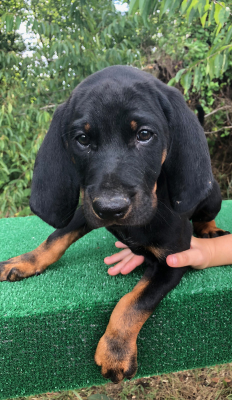 E20F9A77-C662-4C08-8B24-450F7E3804C3