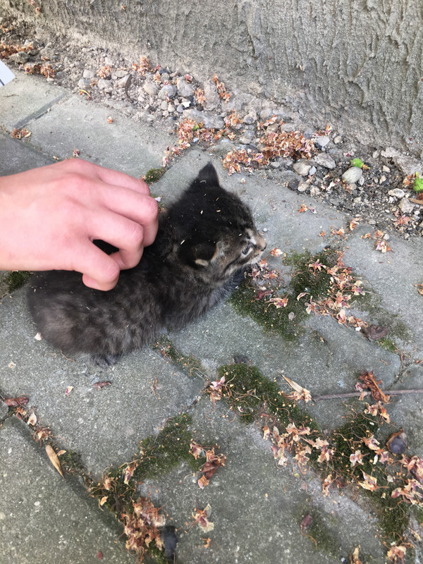 IMG_9885-07-06-19-09-01