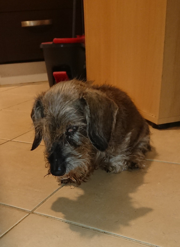 [Image: 20241202-185521.jpg]