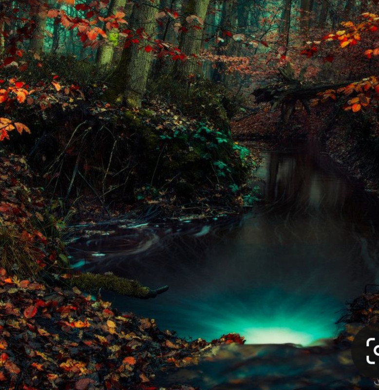 Screenshot_20231113_000444_Pinterest