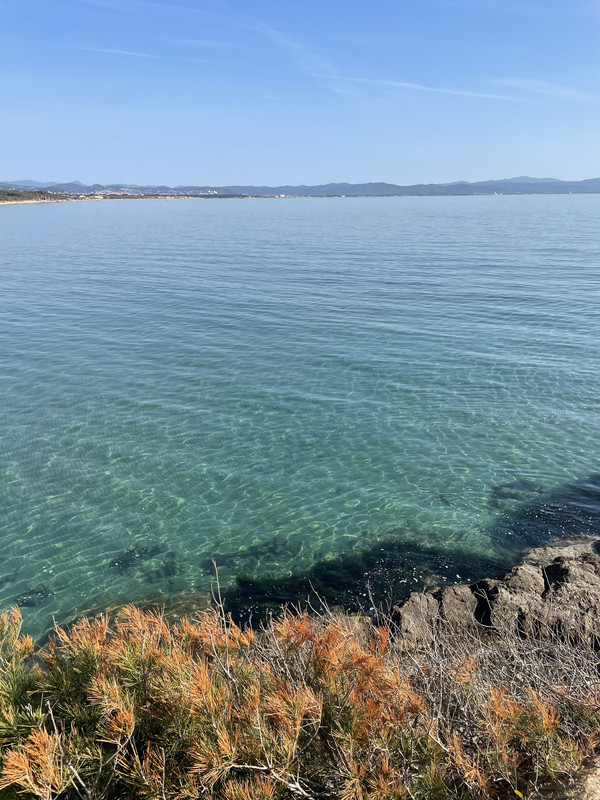 B2163E9A-43A8-4635-891D-C1D760A53B2F