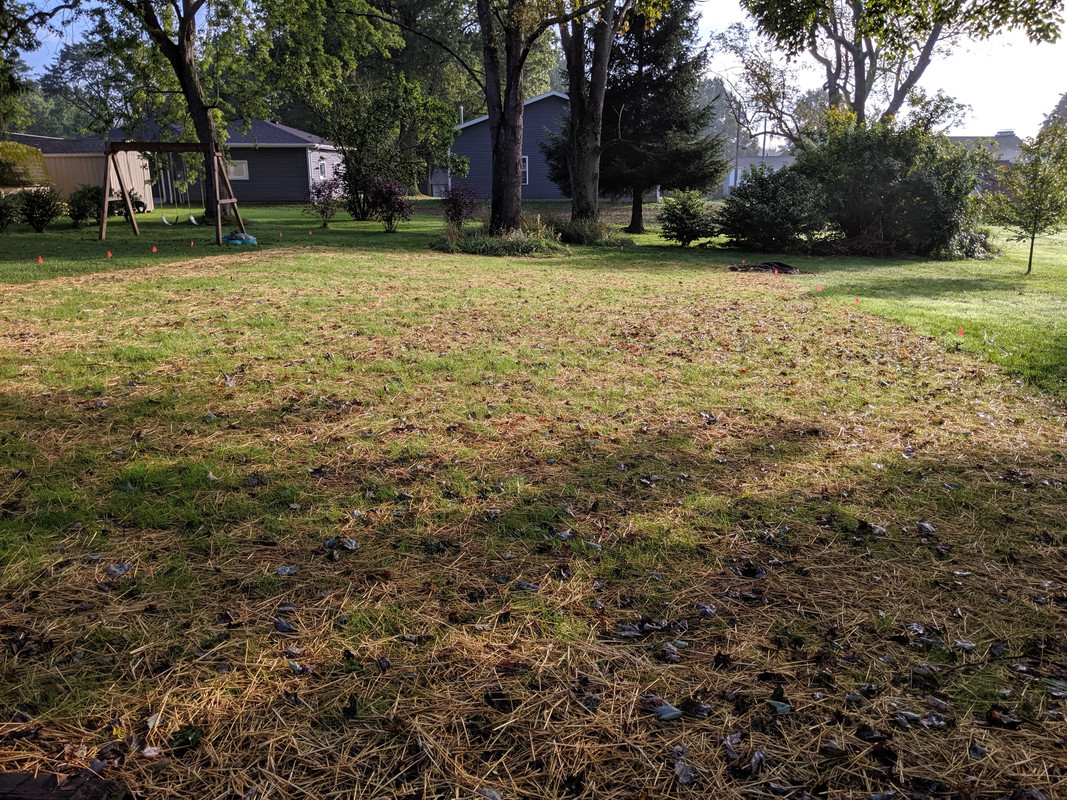 A9636EFB-CABB-4C38-A09D-BD3D3E3CA0E3