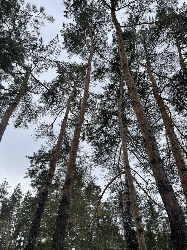 A73795B5-F945-4ED2-955C-2215A56C0FBE