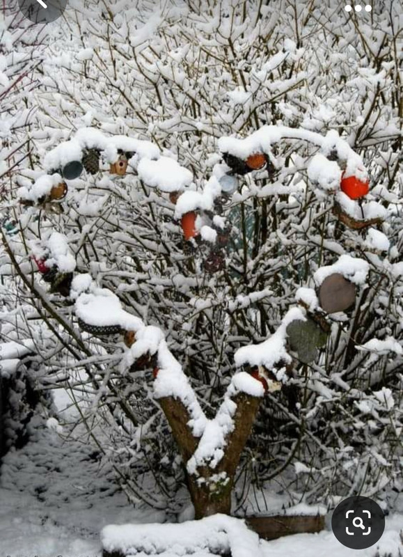 Screenshot_20231101_221024_Pinterest