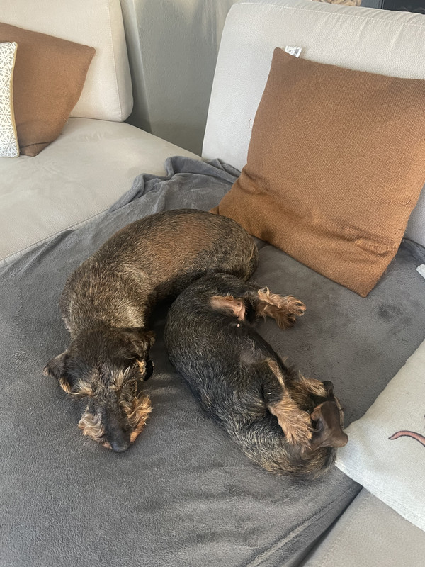 [Image: IMG-6030.jpg]