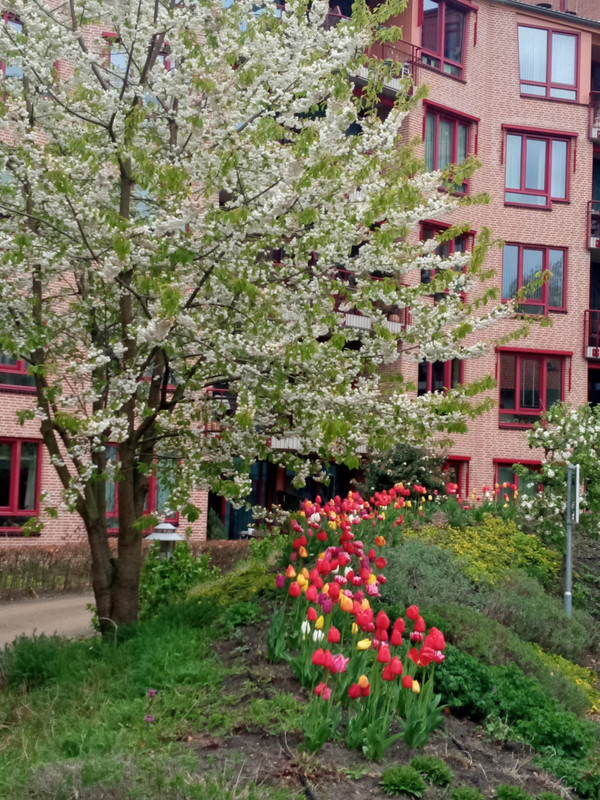[Image: 20210429-154315.jpg]