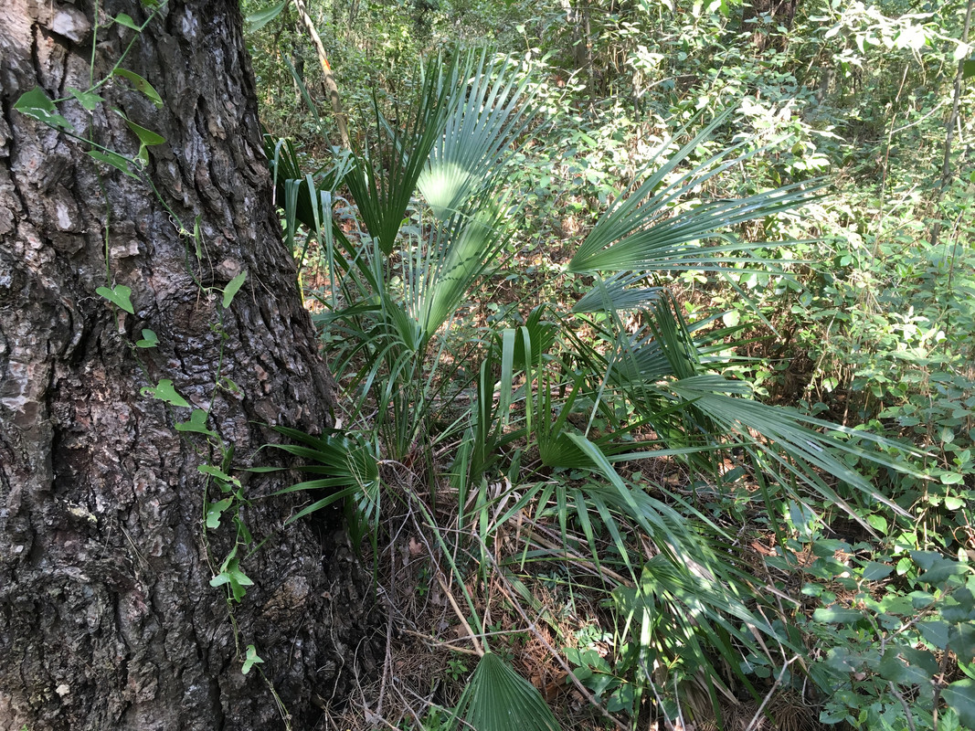 7B2D92B7-D220-4A69-83A1-5D8AB8C2CA24