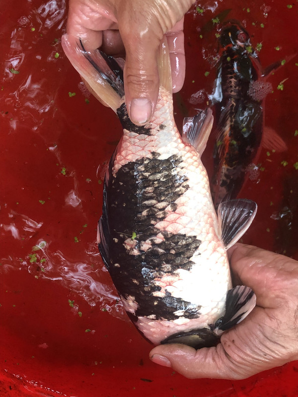 067A4E59-979B-4195-B18D-B9DE2CCEC9BC