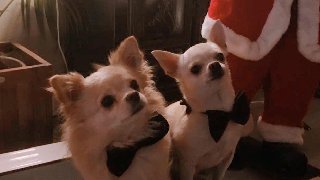 AA8FEACC-7D8F-4444-9E13-C31E9AF6525D