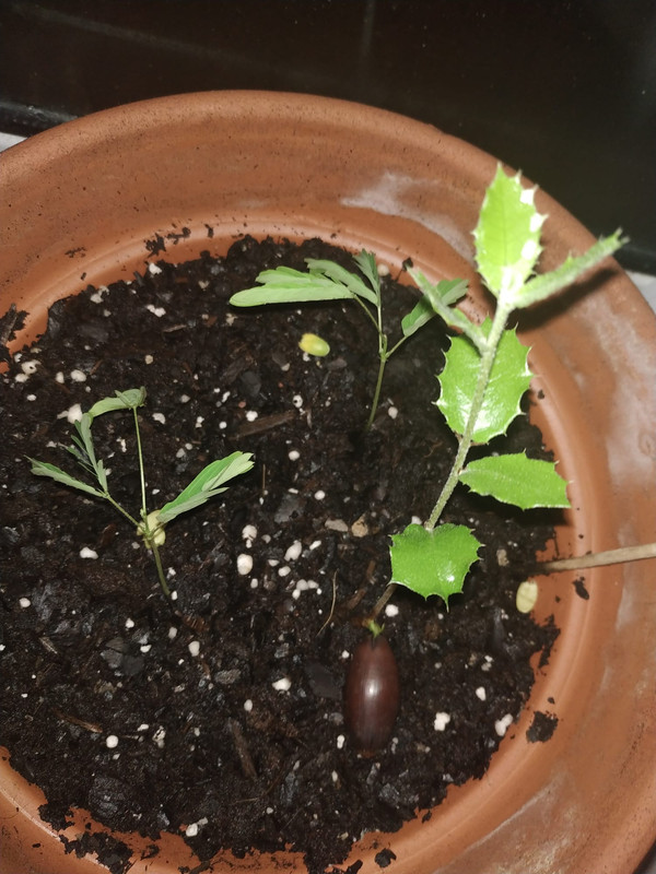 WhatsApp Image 2020-05-27 at 13.33.04 (3)