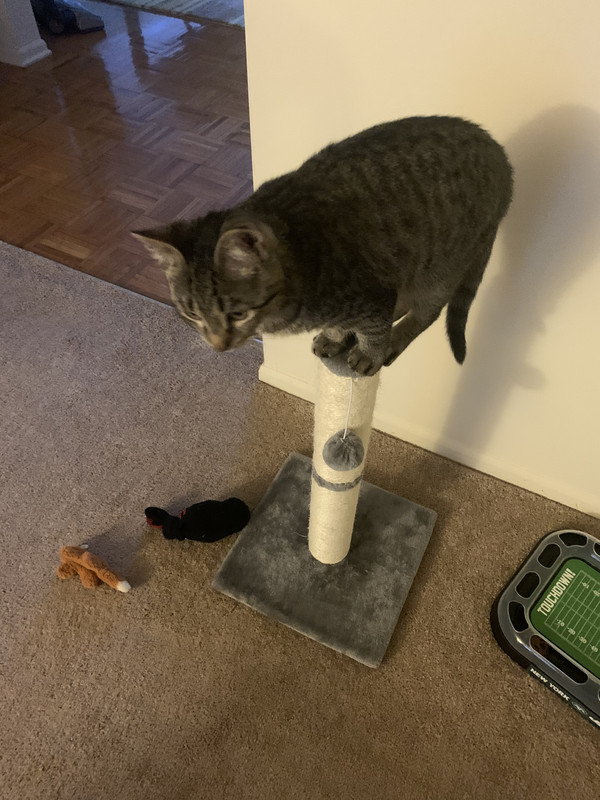 4EA96E25-A166-41EA-95C5-3C4965D93B62