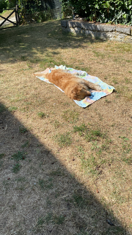 8182A85E-C456-4C84-8497-0BBA52DB3567