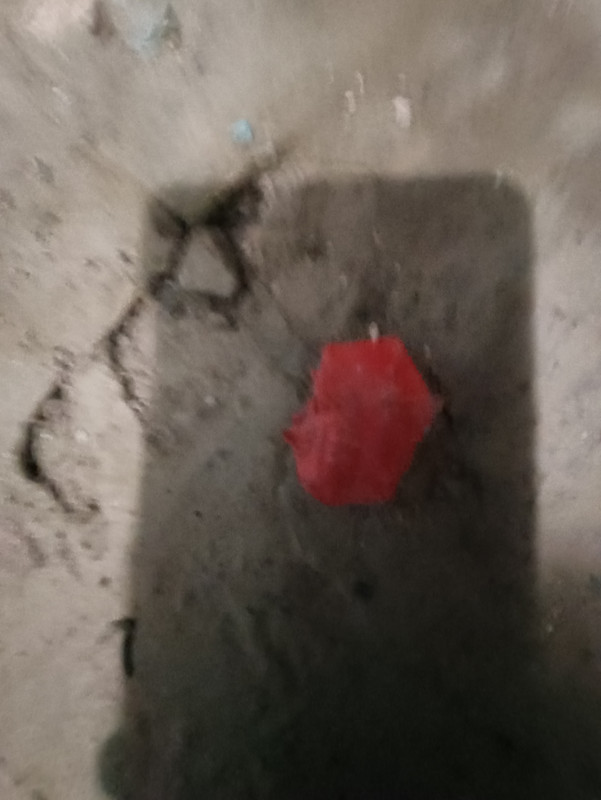 IMG-20250915-201431.jpg
