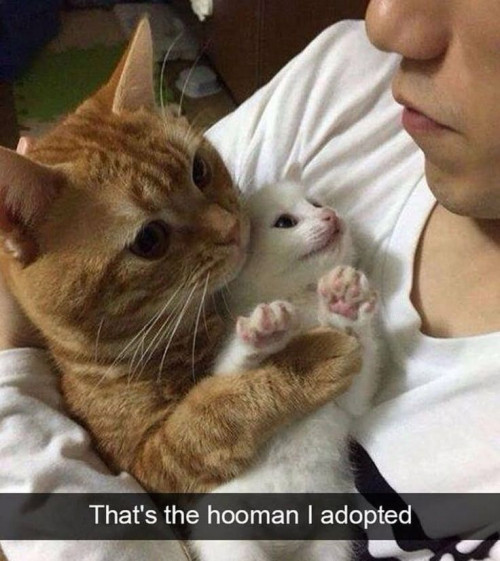 thumbs-picdump928-075.jpg
