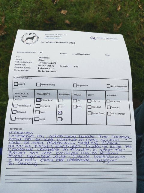 Afbeelding