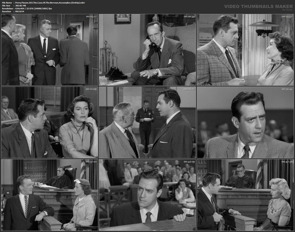 Perry.Mason.103.The.Case.Of.The.Nervous.Accomplice.(Dvdrip).mkv