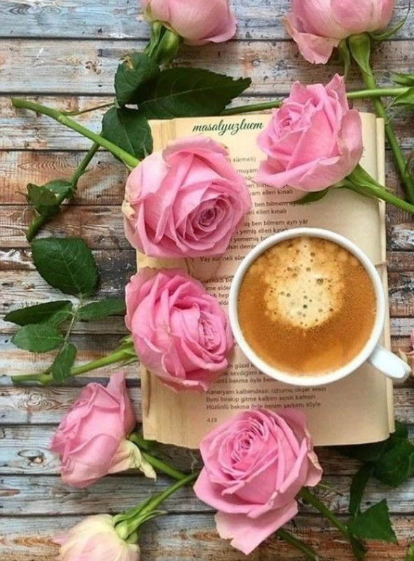 Screenshot_20221213-235025_Chrome