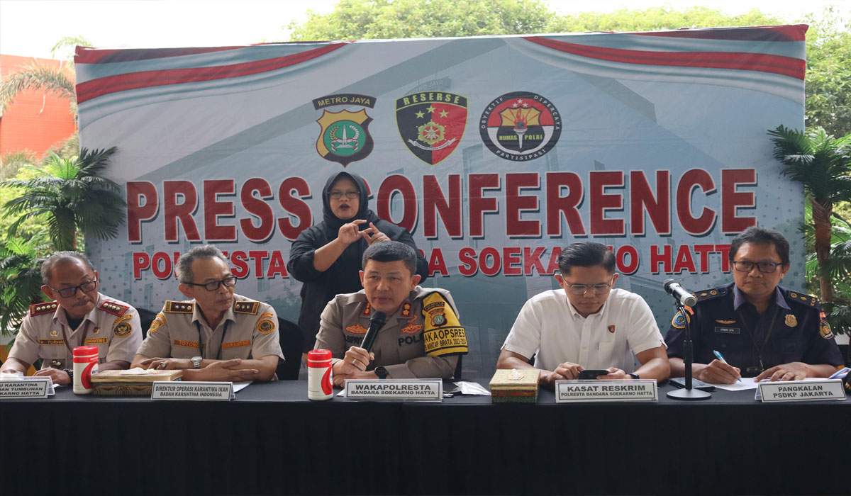 Polisi Bandara Gagalkan Aksi Penyelundupan Benih Lobster Rp 9,2 M ke Vietnam