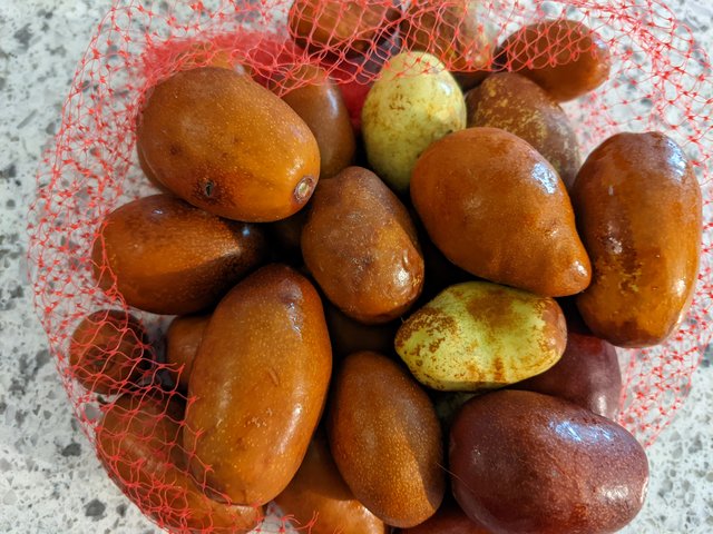 [Image: PXL-20220926-161123448.jpg]