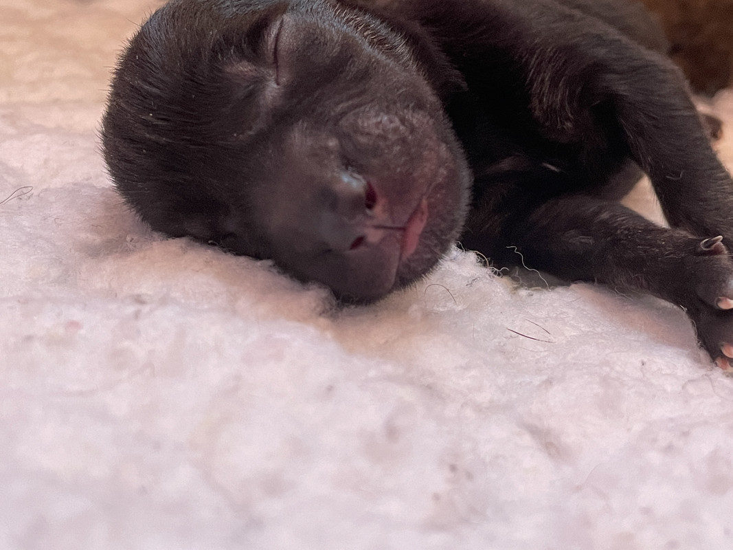 9272F8EC-D66D-4F34-8217-715D79E98846