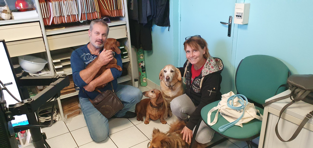 [Image: 20221112-150556.jpg]