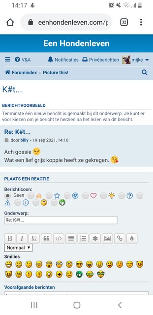 Afbeelding