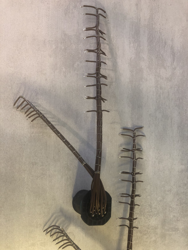 E9E9C8A2-C433-4A51-A1AE-CBDFDAC2E403