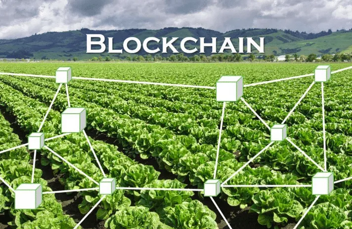 What Is Blockchain