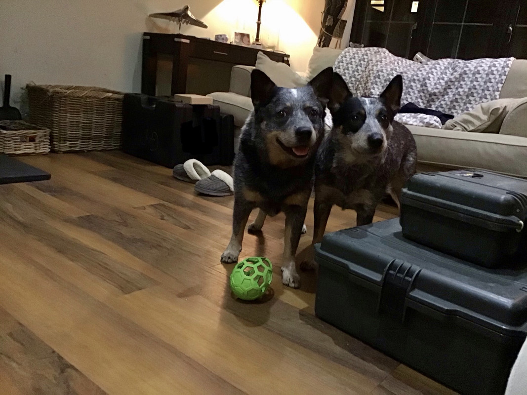 045BAB2A-B828-4A9F-BB0E-B70FD2520830