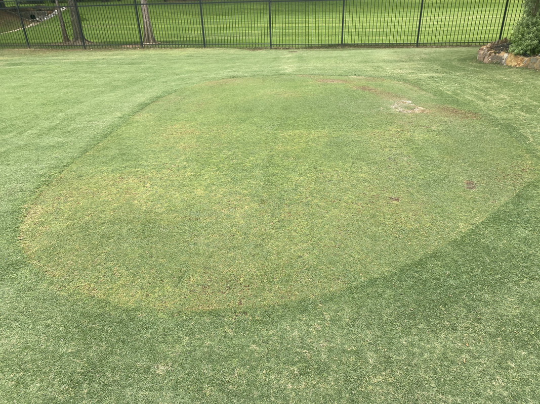 DAB392C4-C13D-4D4B-B361-F7E2F9359F6B